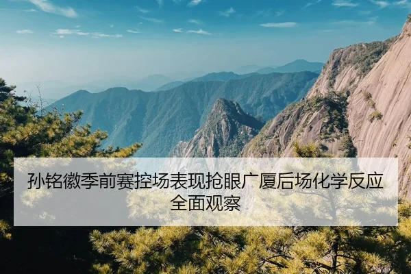 孙铭徽季前赛控场表现抢眼广厦后场化学反应全面观察