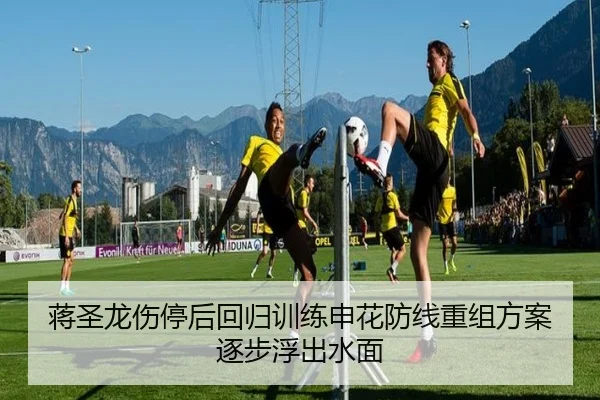 蒋圣龙伤停后回归训练申花防线重组方案逐步浮出水面
